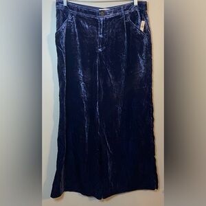 Anthropologie Elegant Navy Velvet Wide Leg Pants
